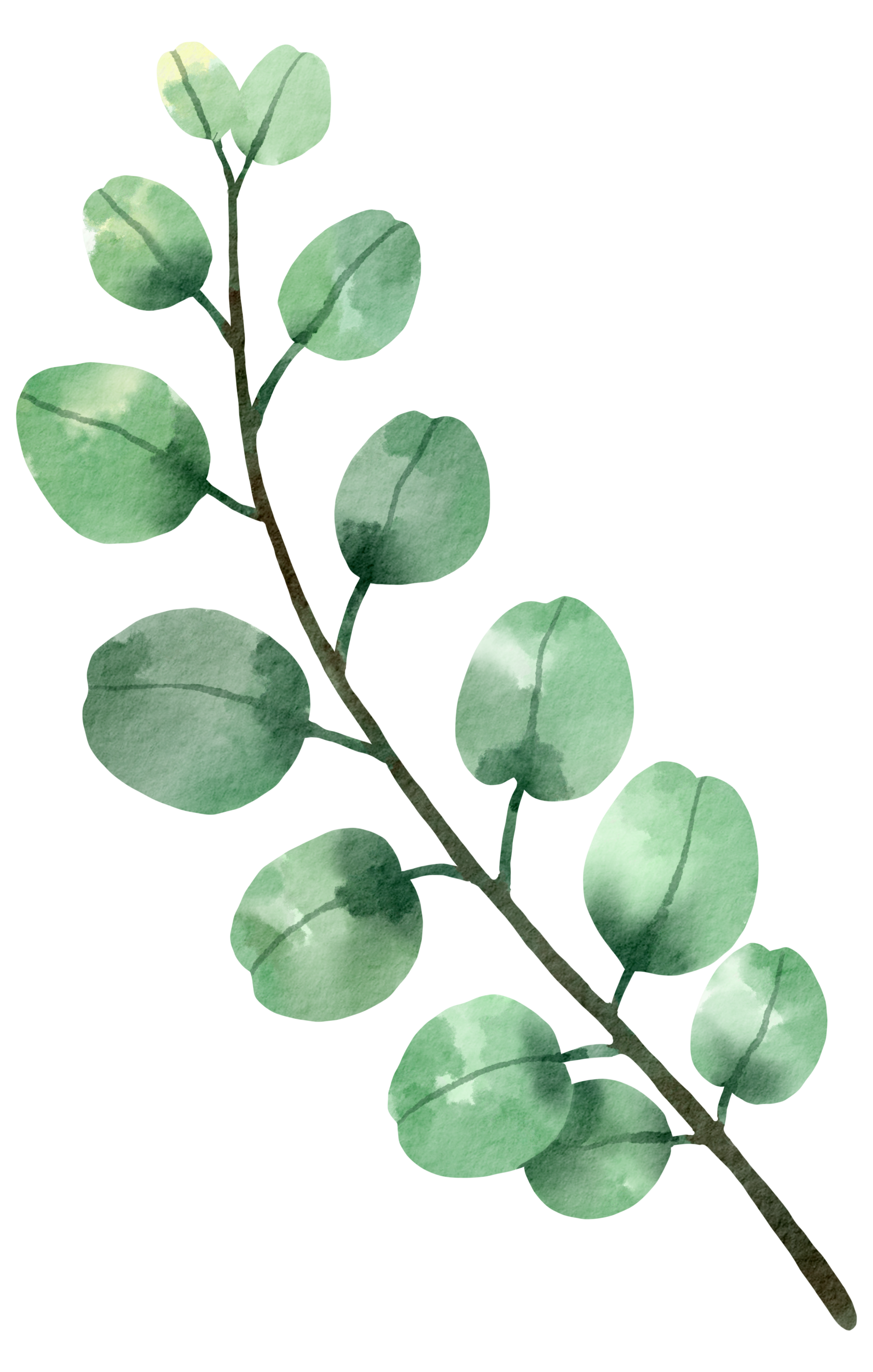 Виталий Дорничев