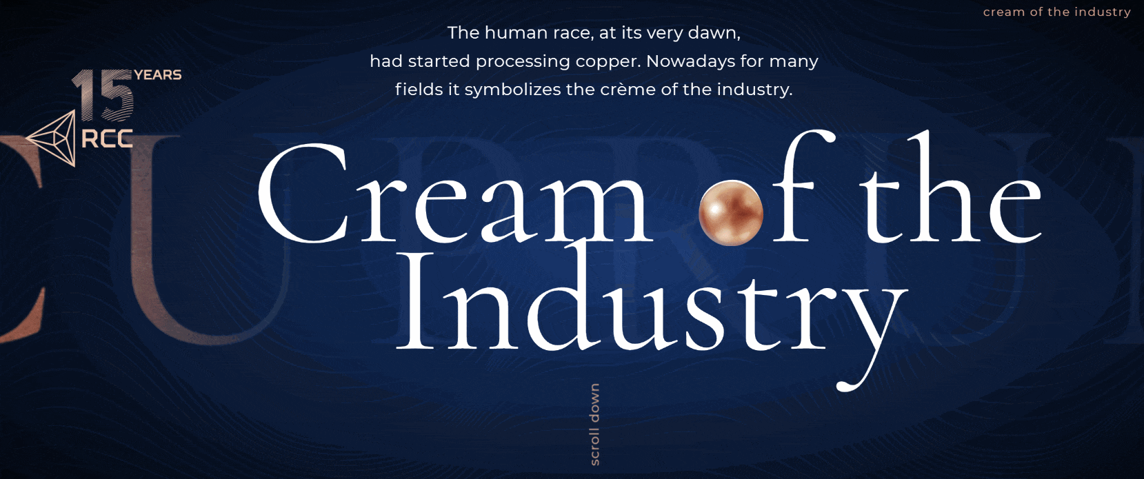 В «Рейтинге Рунета 2020» данный сайт занял 2 место в номинации «Лучший сайт на иностранном языке», а на Tagline Awards 2019 взял 3 место в номинации «Совершенное исполнение (Craft). Интерактивный брендинг».