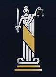  Адвокат Свинтицкая В.В. 