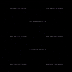 Стоимость аренды интерактивной инсталляции Glambot