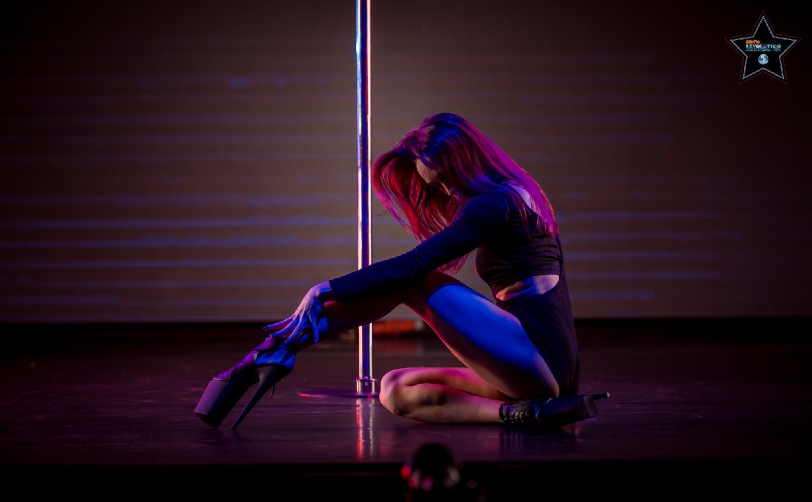 Stun Your Senses with These Super Bowl Exotic Dancers