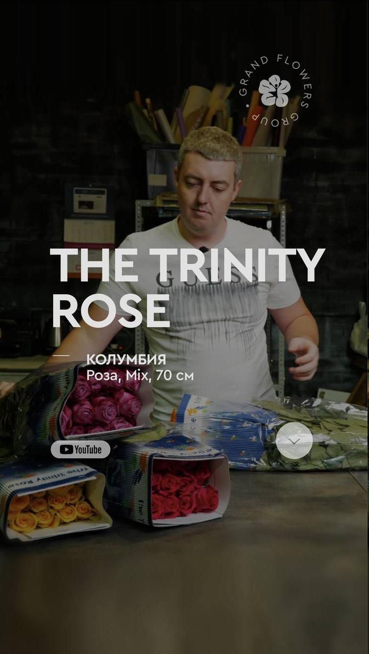 Обзор розы mix с плантации The Trinity Rose