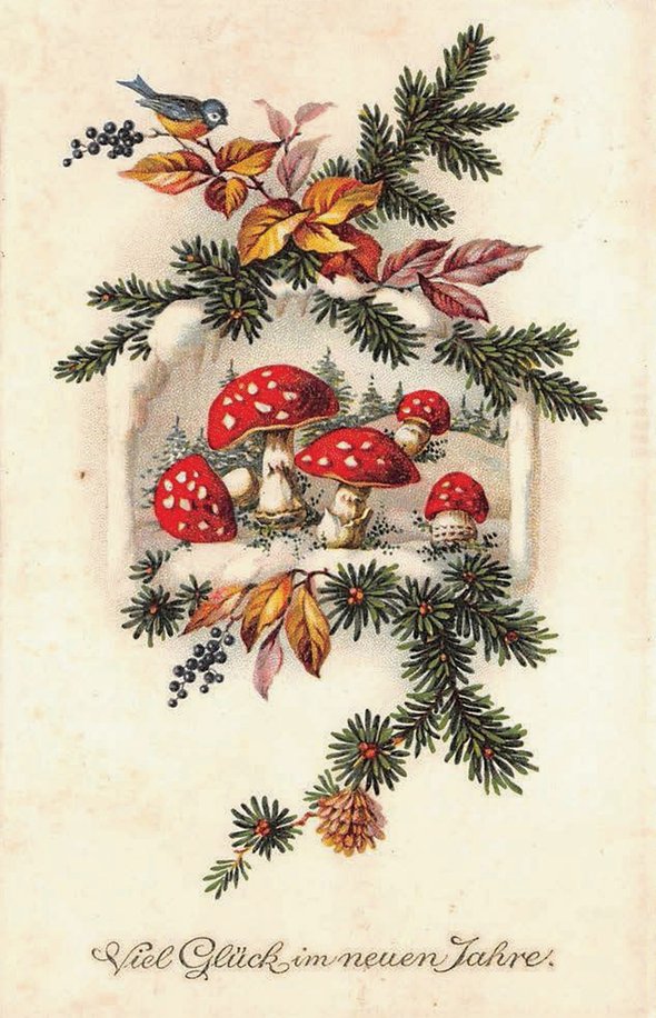 Мухоморы на рождественской открытке. Фото: Public domain  