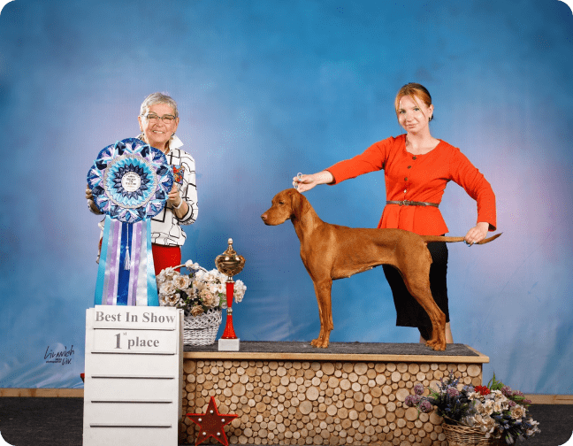 Ветеринарная клиника, ветклиника