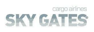 логотип авиакомпании sky gates