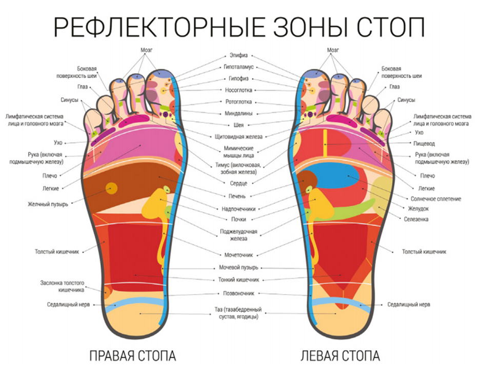 Болит левая нога ступня. Рефлекторные зоны стопы схема органы. Рефлекторные точки на стопе. Карта рефлекторных зон стопы. Схема рефлекторных точек стопы.