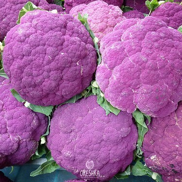 Seeds of purple cauliflower (Brassica oleracea L. var. botrytis L.) — 30 pcs