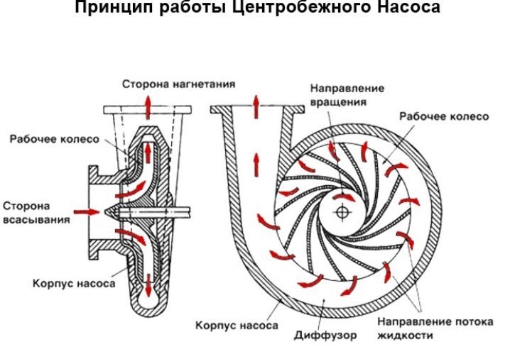 Моторное поле включает