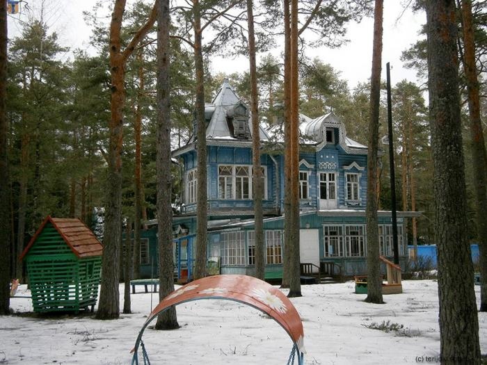 Природная экспедиция "Болота, Комаровский берег и Линдуловская роща" с наблюдени