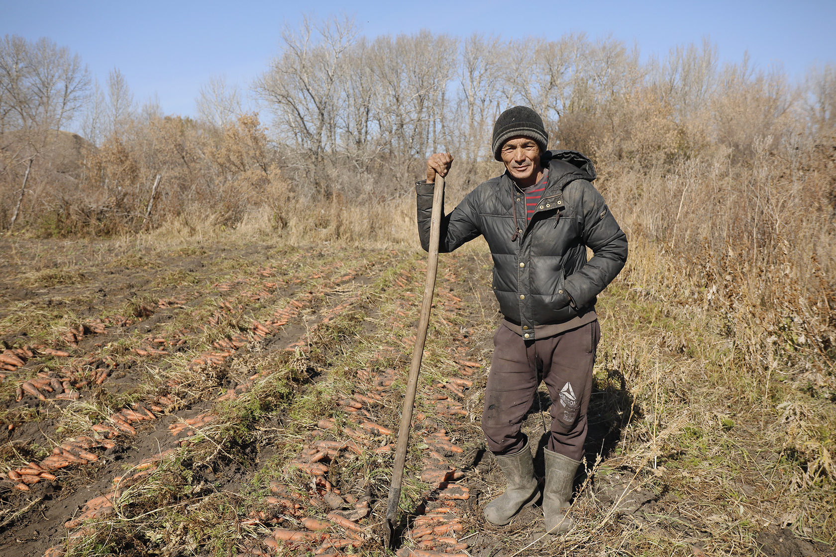 Ставропольский край село овощи. Село овощи Ставропольский край. Село овощи туркменского района Ставропольского края. Село овощи Годоров. Google покажи село овощи.