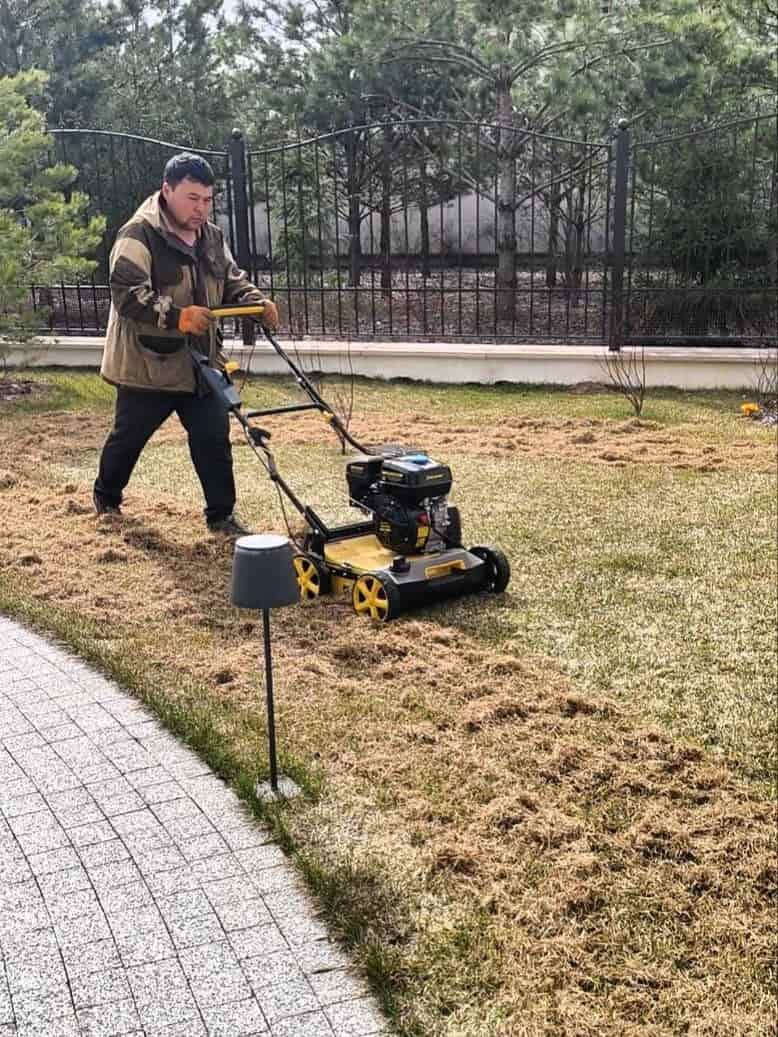 подстрижка и скарификация газона на участке от компании мособлсад апрель 2025