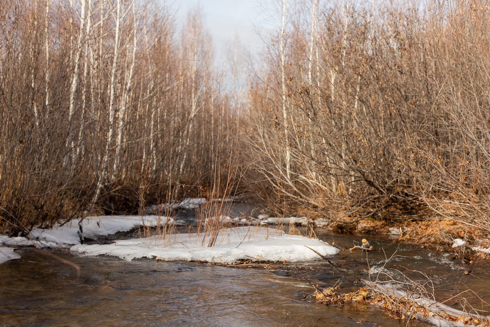 Село каково