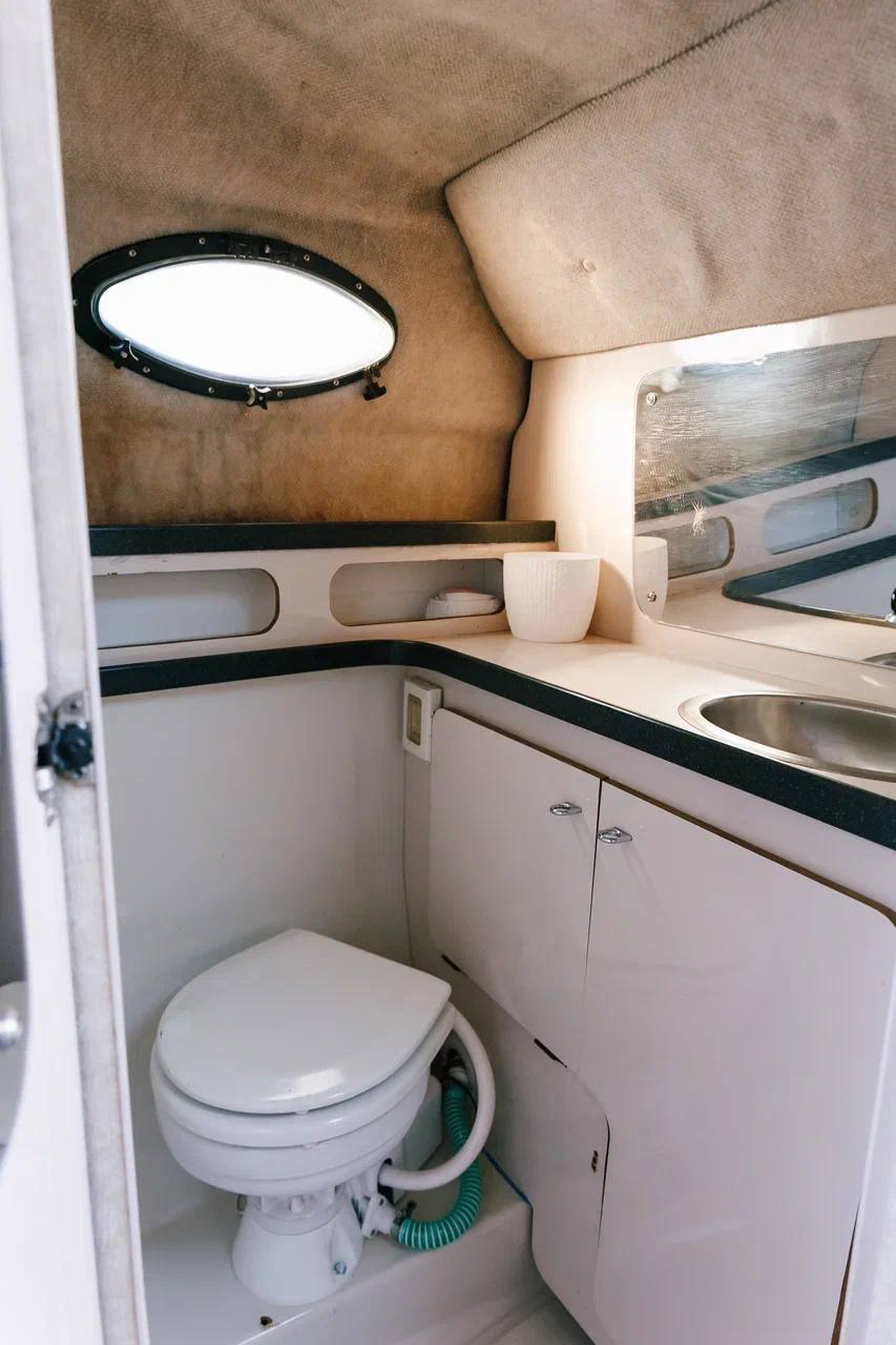 Туалет на Regal Brown