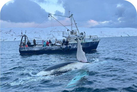 Школьная группа