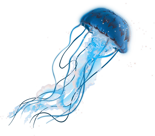 Создание анимированных сайтов