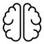 Когнитом