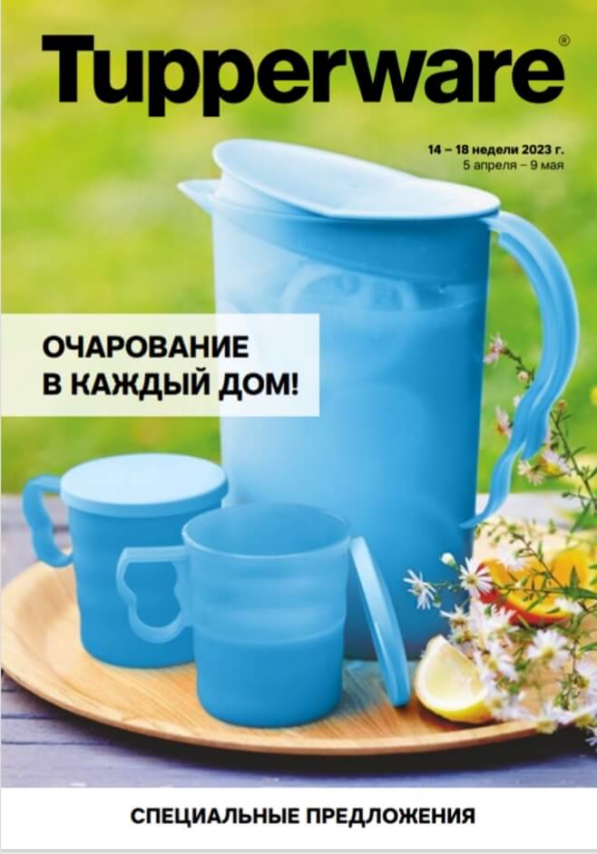 Спецпредложения, подарки и каталог