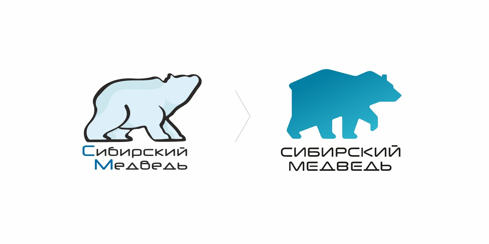Номер сибирского медведя интернет. Сибирский медведь интернет. Сибирский медведь логотип. Интернет-провайдер Сибирский медведь. Медведь Сибирь логотип.