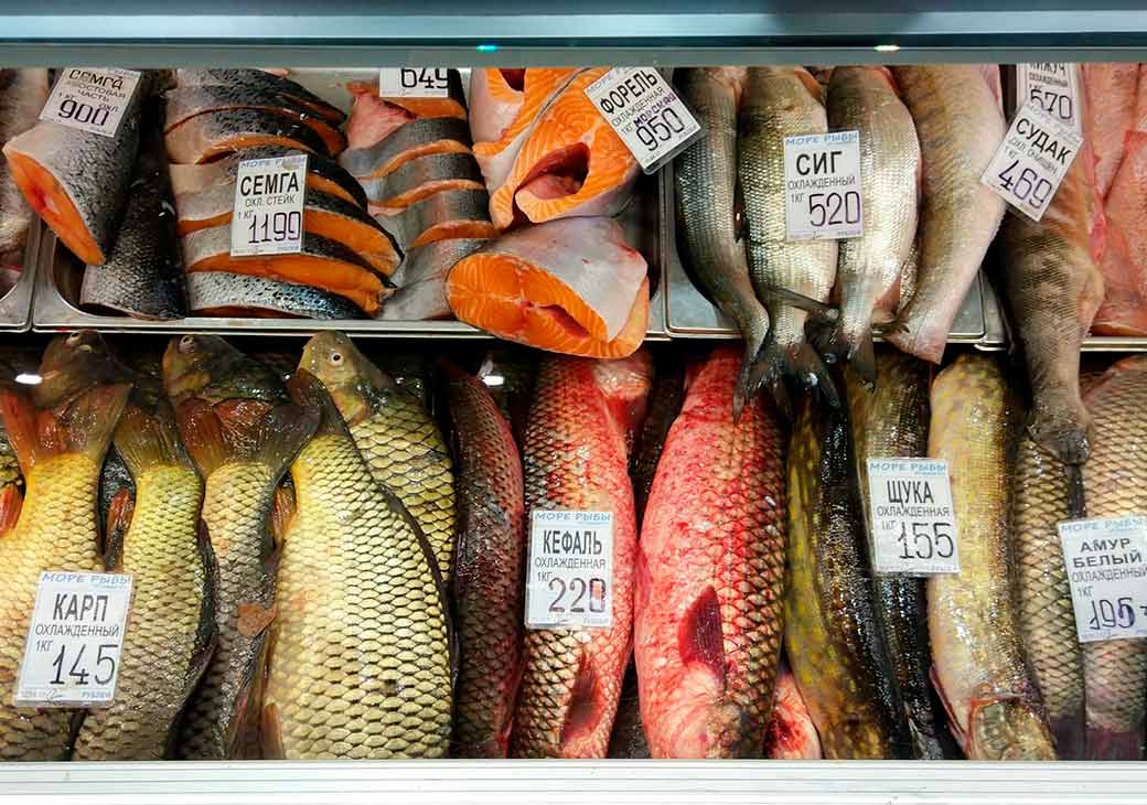 Свежая рыба купить недорого. Рыба на прилавке. Морская рыба на прилавке. Ассортимент рыбы в магазине. Самая дешевая рыба в магазине.