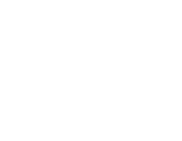 ONE DOG TWO PEOPLE