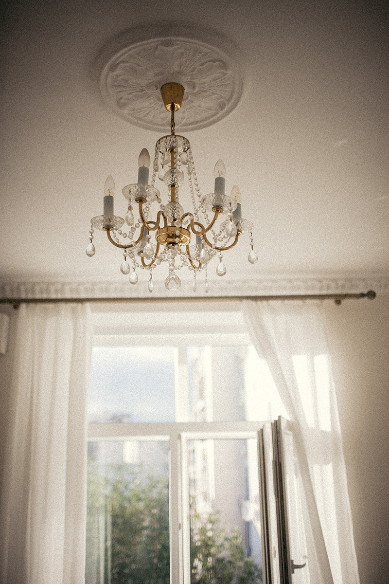 Школа французского Frenchie в Москве