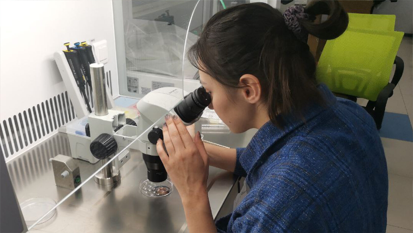 In vitro технологии