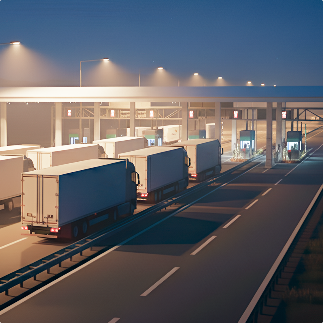 Международная экспертиза