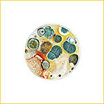 Убрать плесень в квартире казань