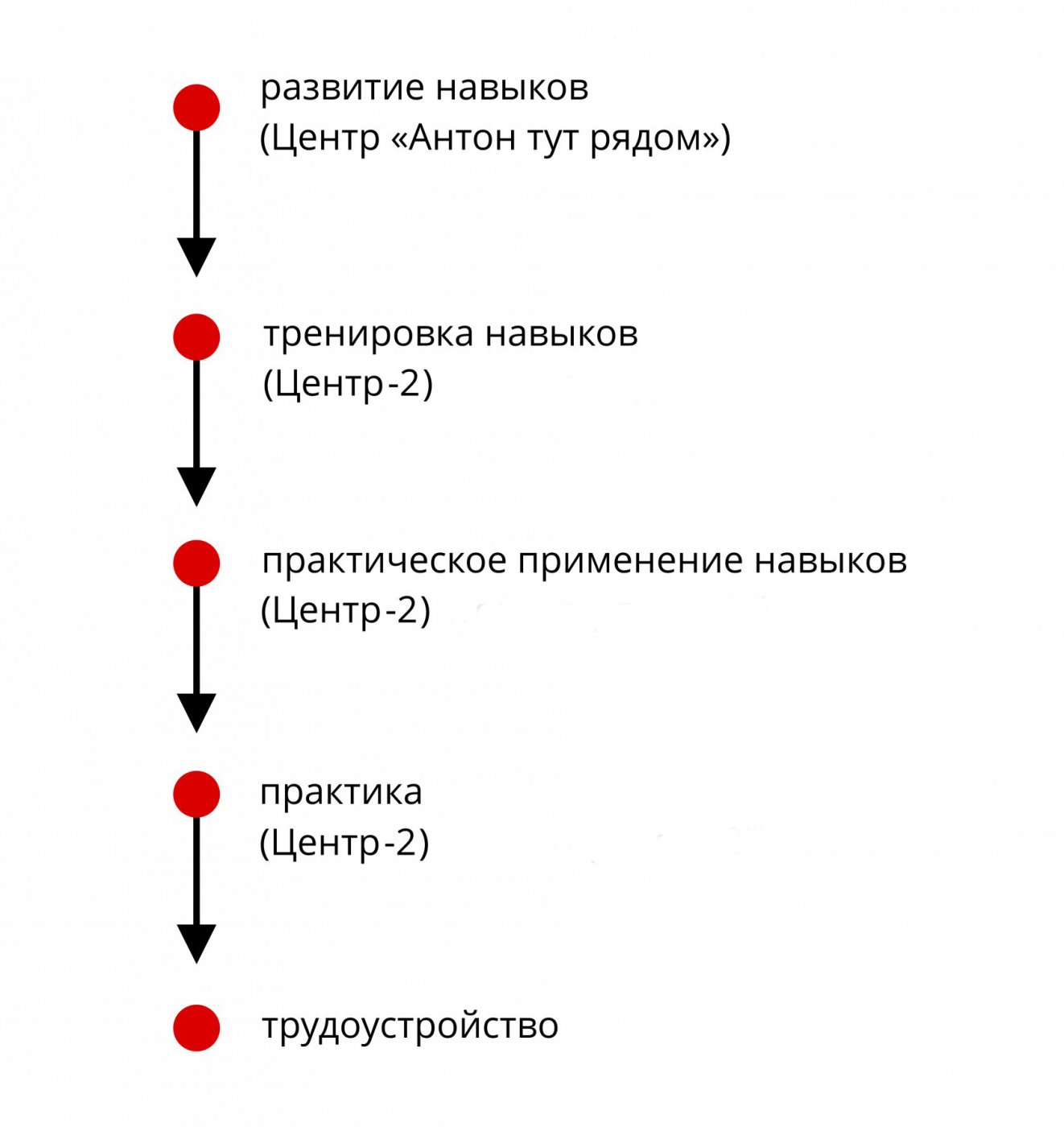 Освоение нового навыка так быстро, как это только возможно: 17 простых шагов Освоение нового навыка так быстро, как это только возможно: 17 простых шагов