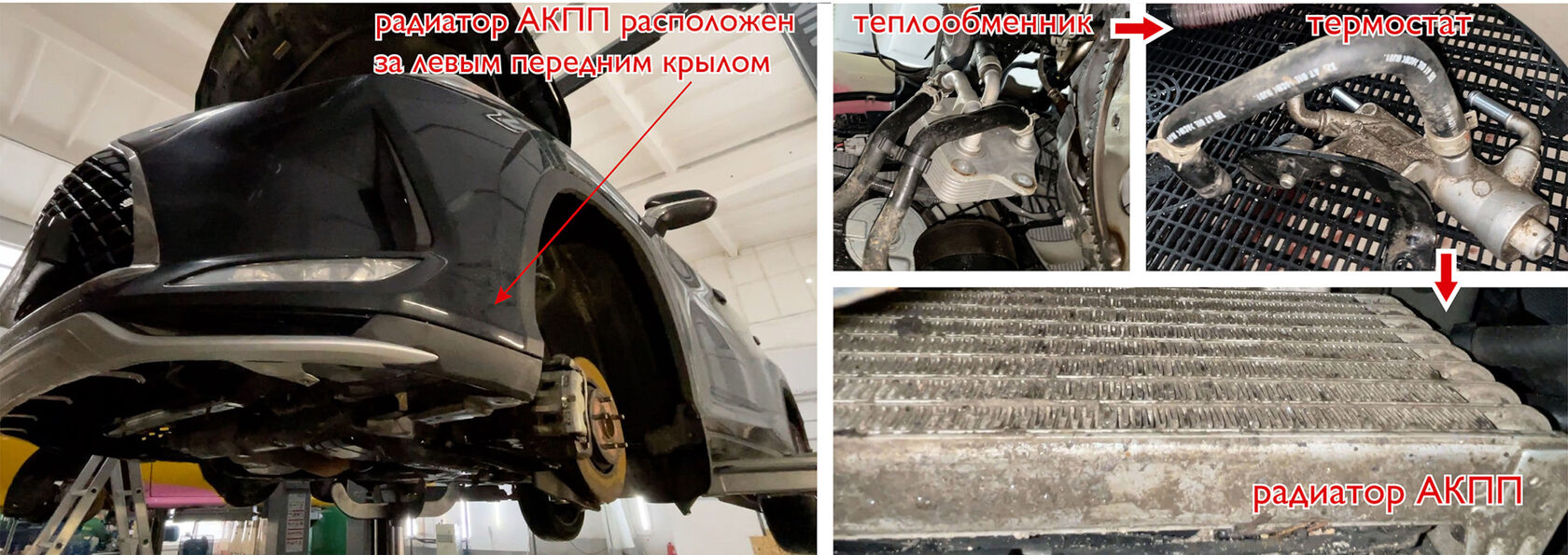Схема охлаждения АКПП Lexus RX300: теплообменник, термостат и радиатор за левым передним крылом