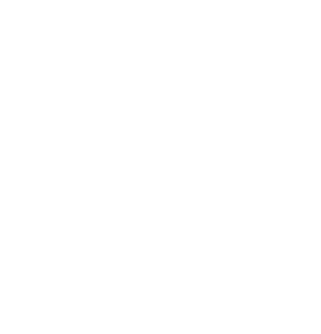 website icon
