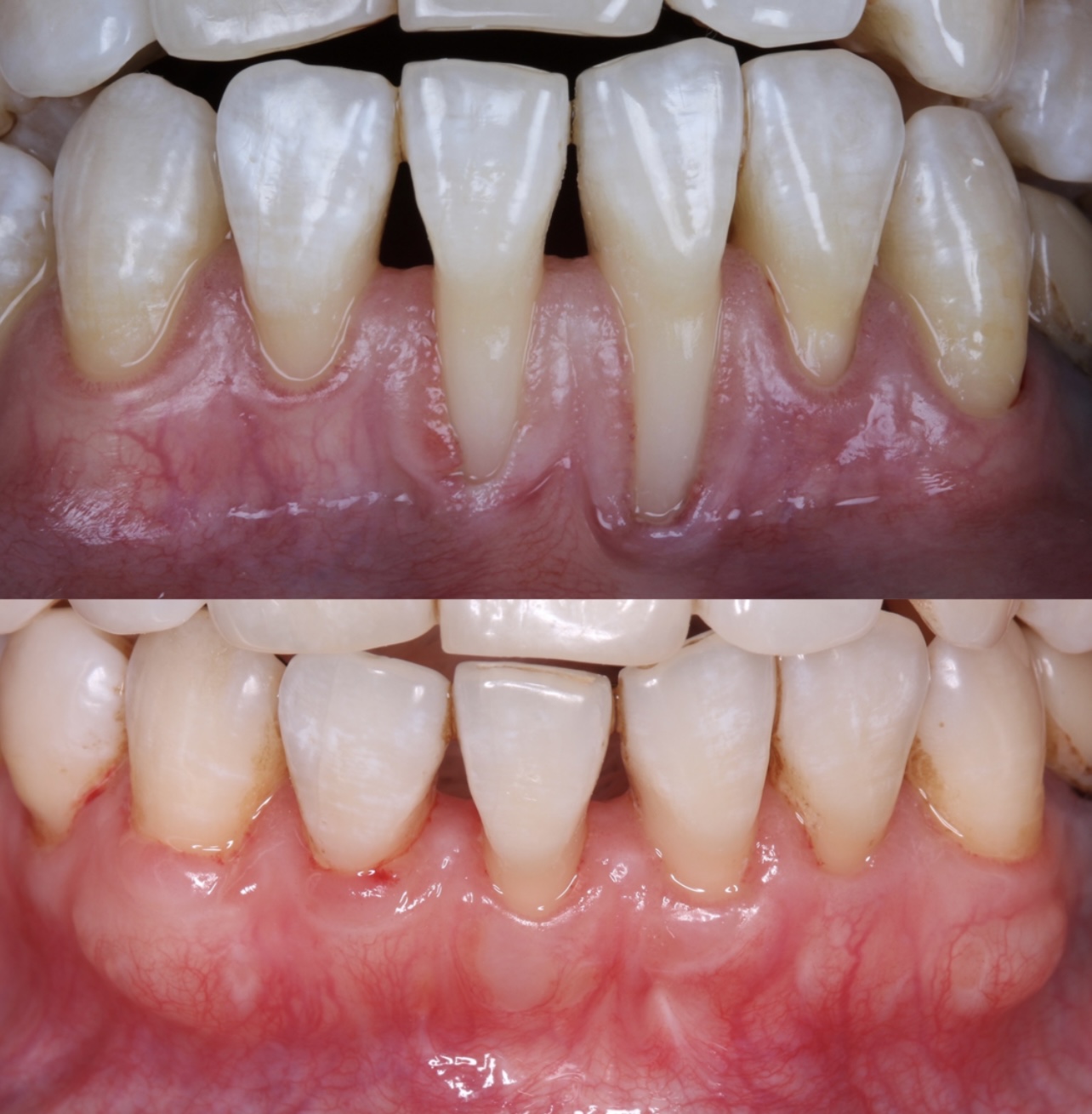 Фото с конференции 