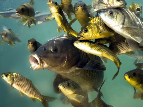 фото нанесения макияжа на лицо девушки 
