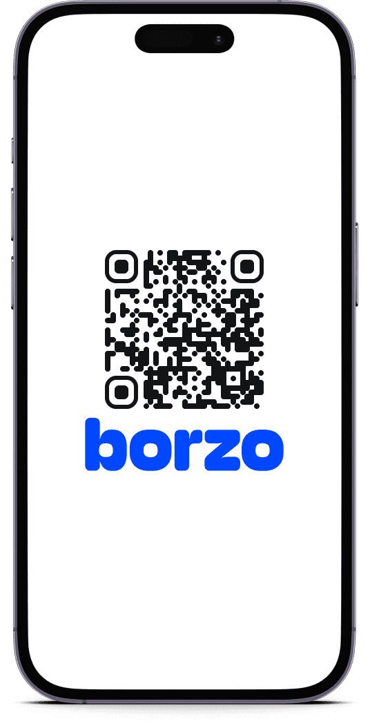 borzo app