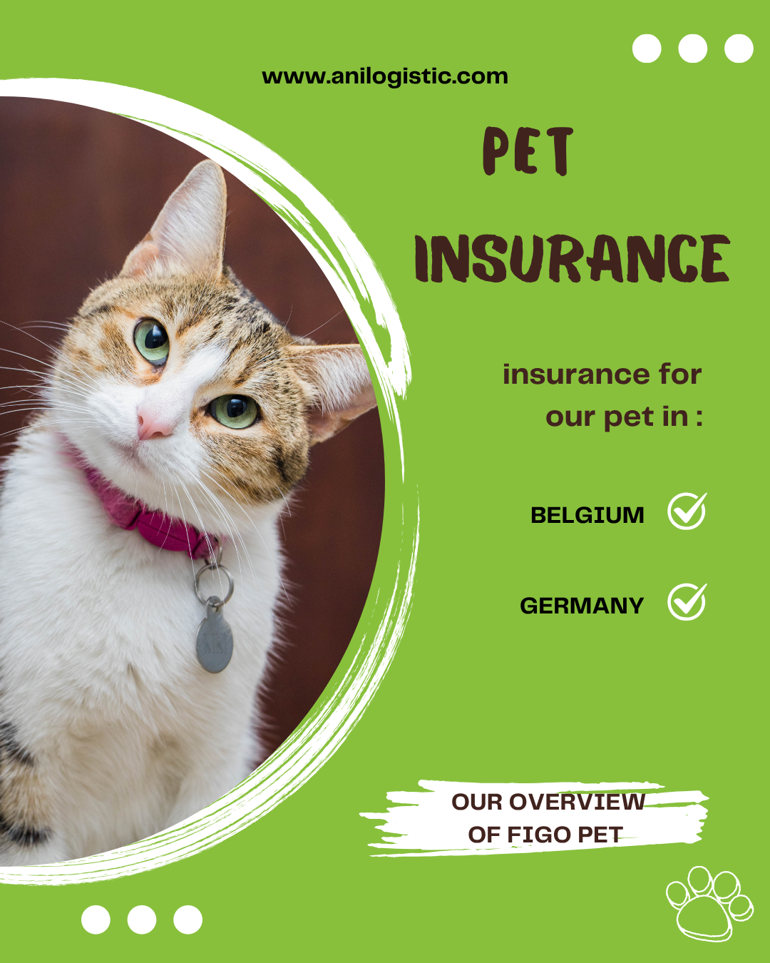 protected with Figo Pet Insurance in Europe