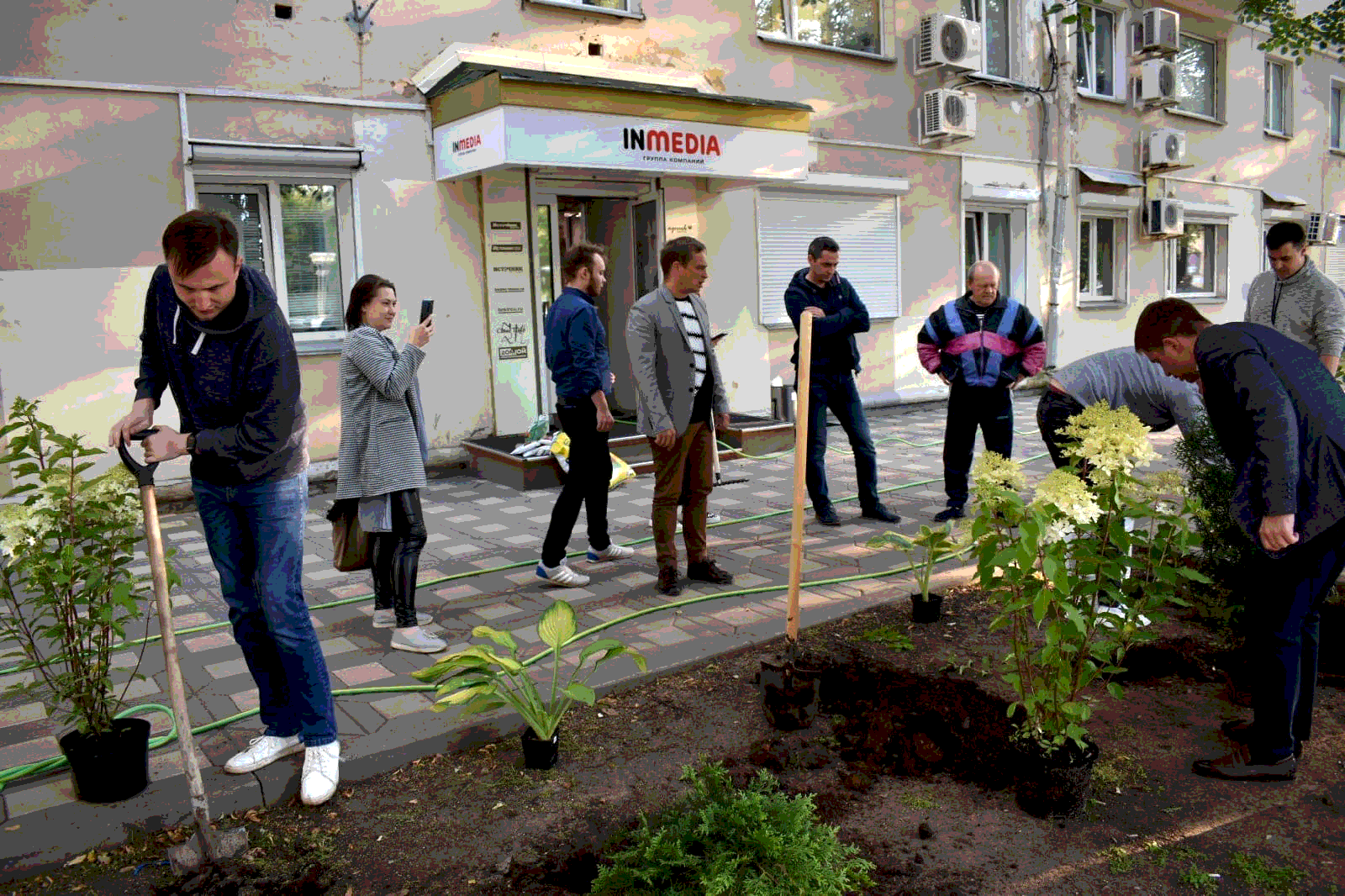 люди сажают кустарники перед офисом