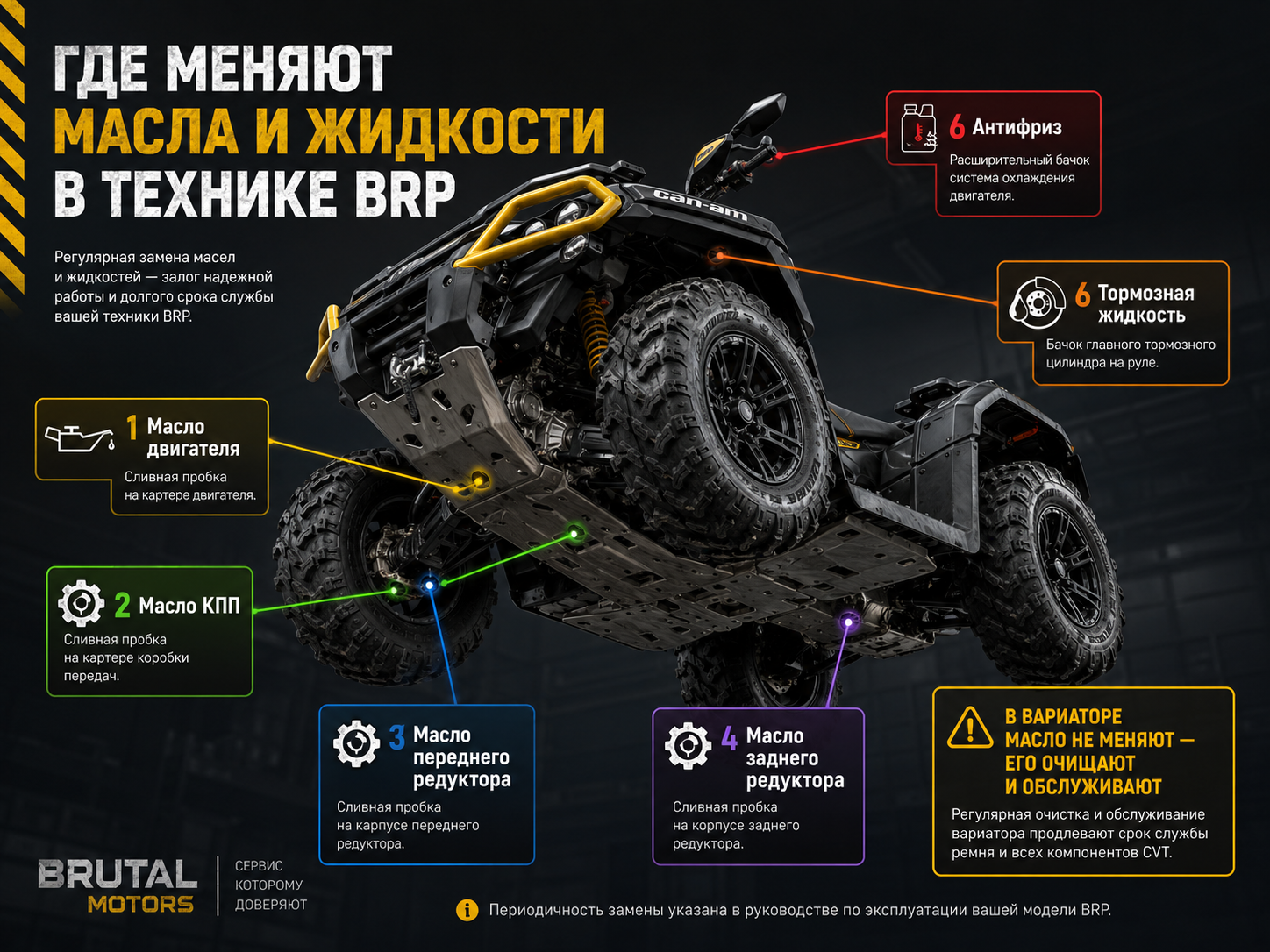 Масла и эксплуатационные жидкости техники BRP