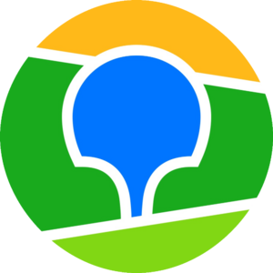 website icon