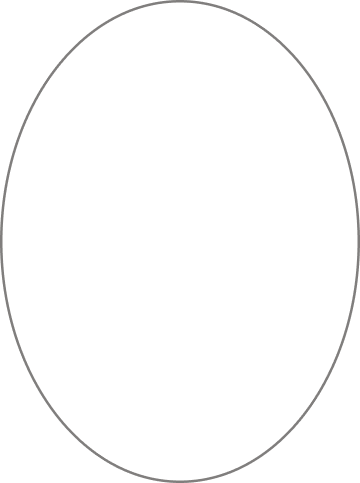 бело-соболиный папийон на улице зимой