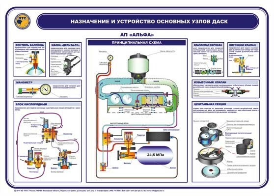 Купить Птс Профи М 170м Dd7