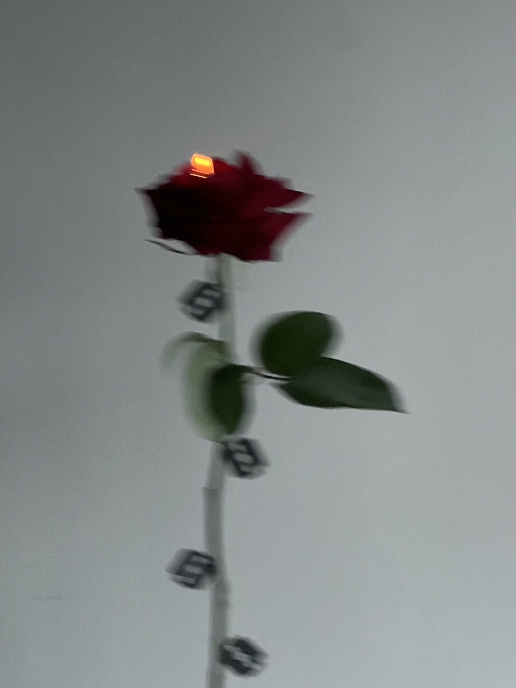 Авторские букеты