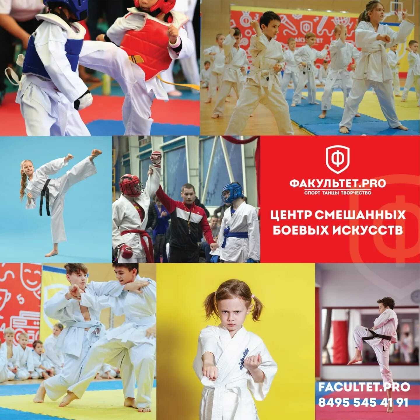 Факультет спорта. Открыт набор на отделения спорта. Единоборства гимнастика в городе Челябинск логотип.