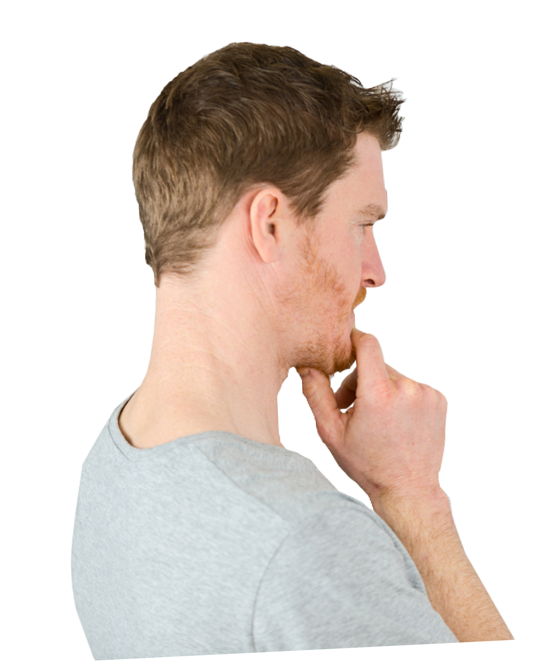 Выбор дома Тверь