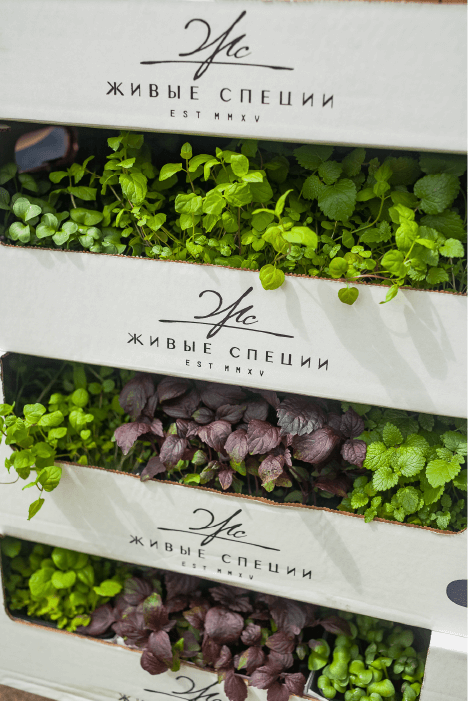 пить и жарить