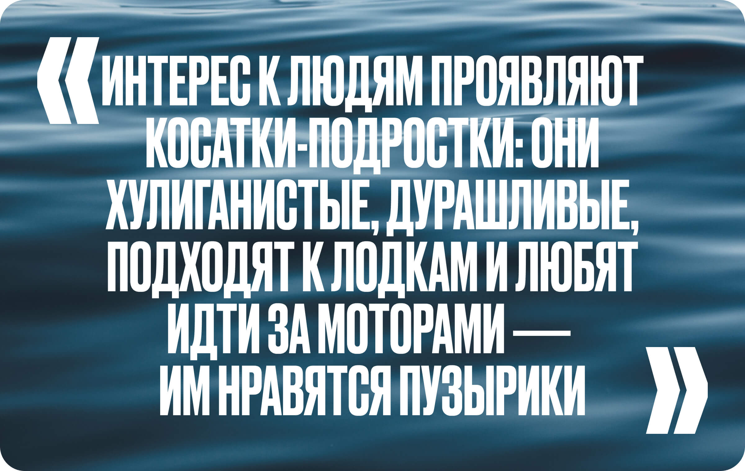 Вся правда и мифы о китообразных в интервью с Ольгой Филатовой