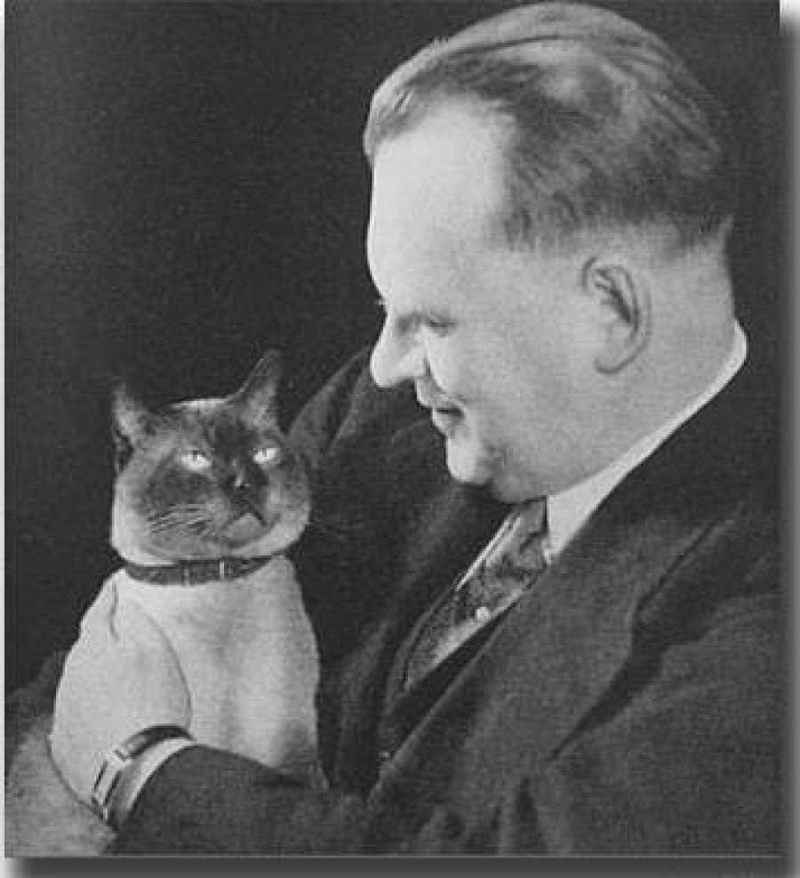 Кот Алехина