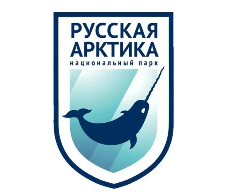 Логотип заказчика студии Камелот 6