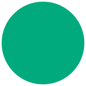 website icon