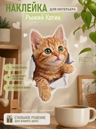 Интерьерная наклейка «Рыжий котик» REVOLUTBOX