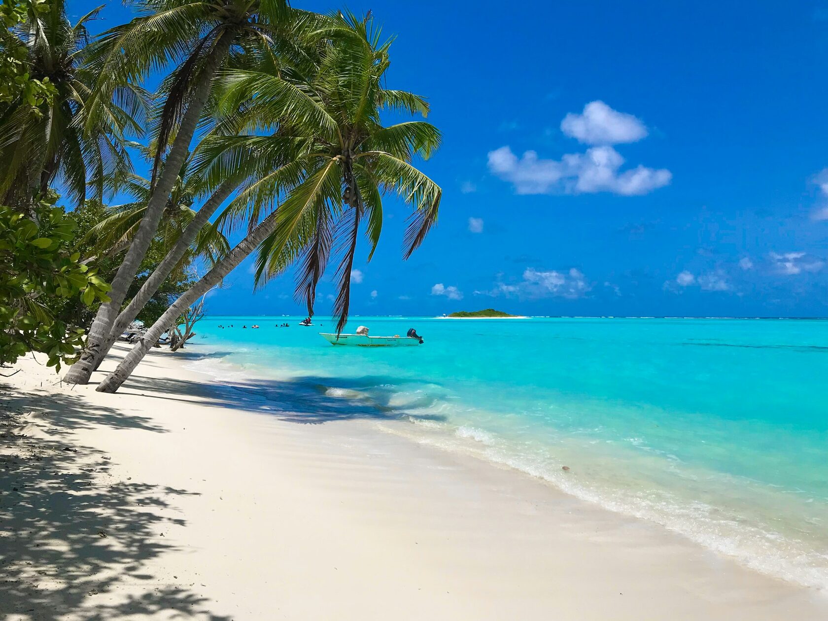Tropical travel